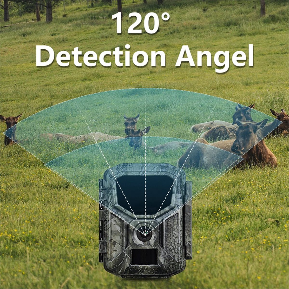 Hunting Outdoor Rug - fine 8K Hunting Camera HD Wildlife