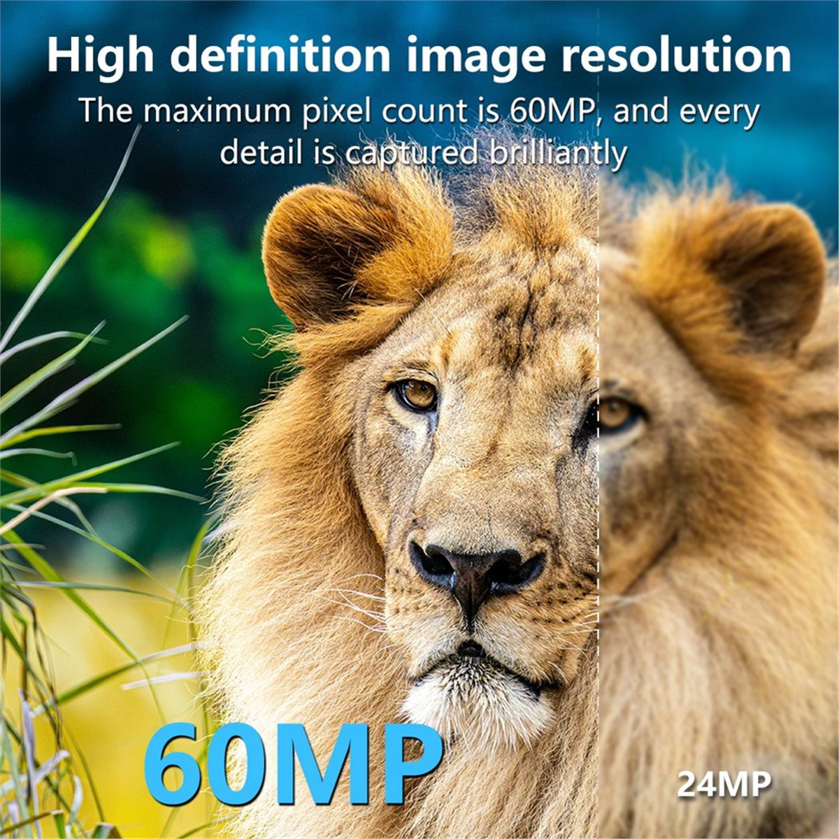 fine 8K Hunting Camera HD Wild - Hunting Outdoor Rug 评论和价格