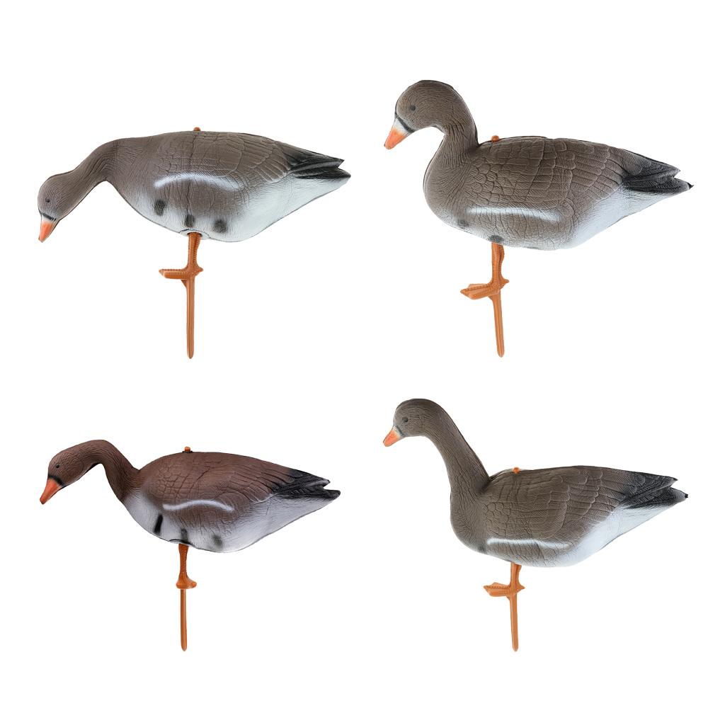 Collapsible Turkey Goose Decoy - Hunting & Outdoor Supplies Vanderbijlpark Photos 评论和价格