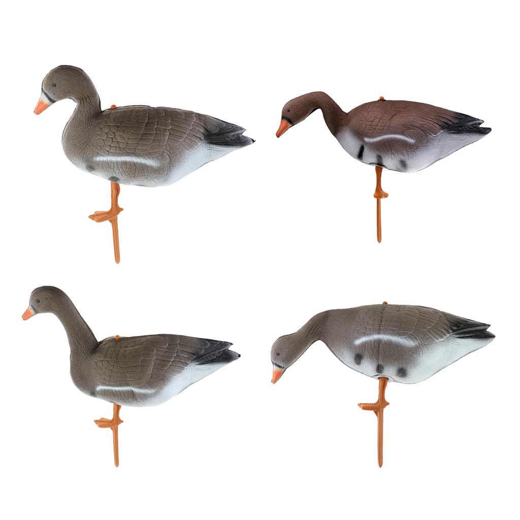Collapsible Turkey Goose Decoy - Hunting & Outdoor Supplies Vanderbijlpark Photos 评论和价格